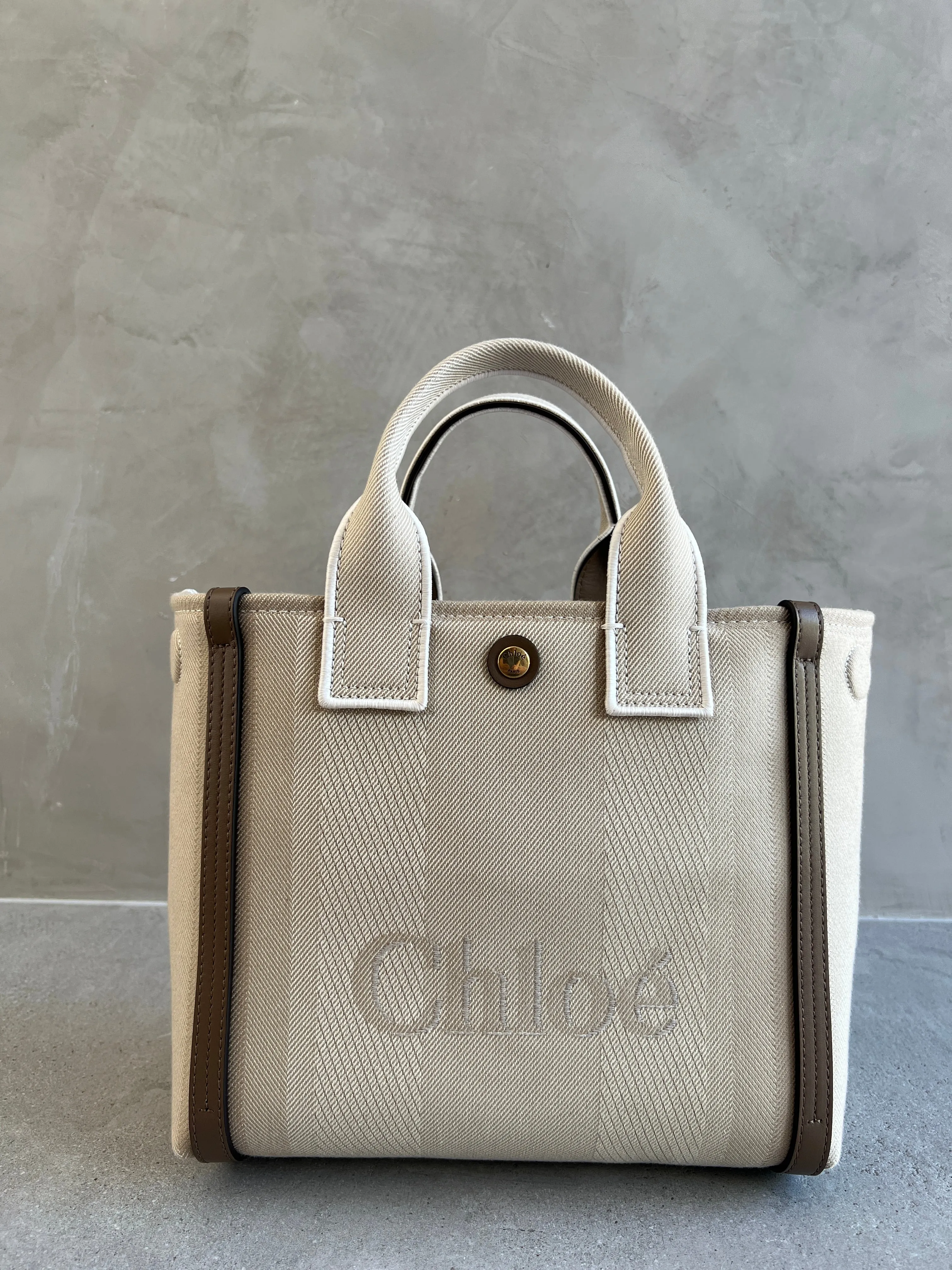 Chloé Bags Small Canvas Carry Tote, Vegetal Beige