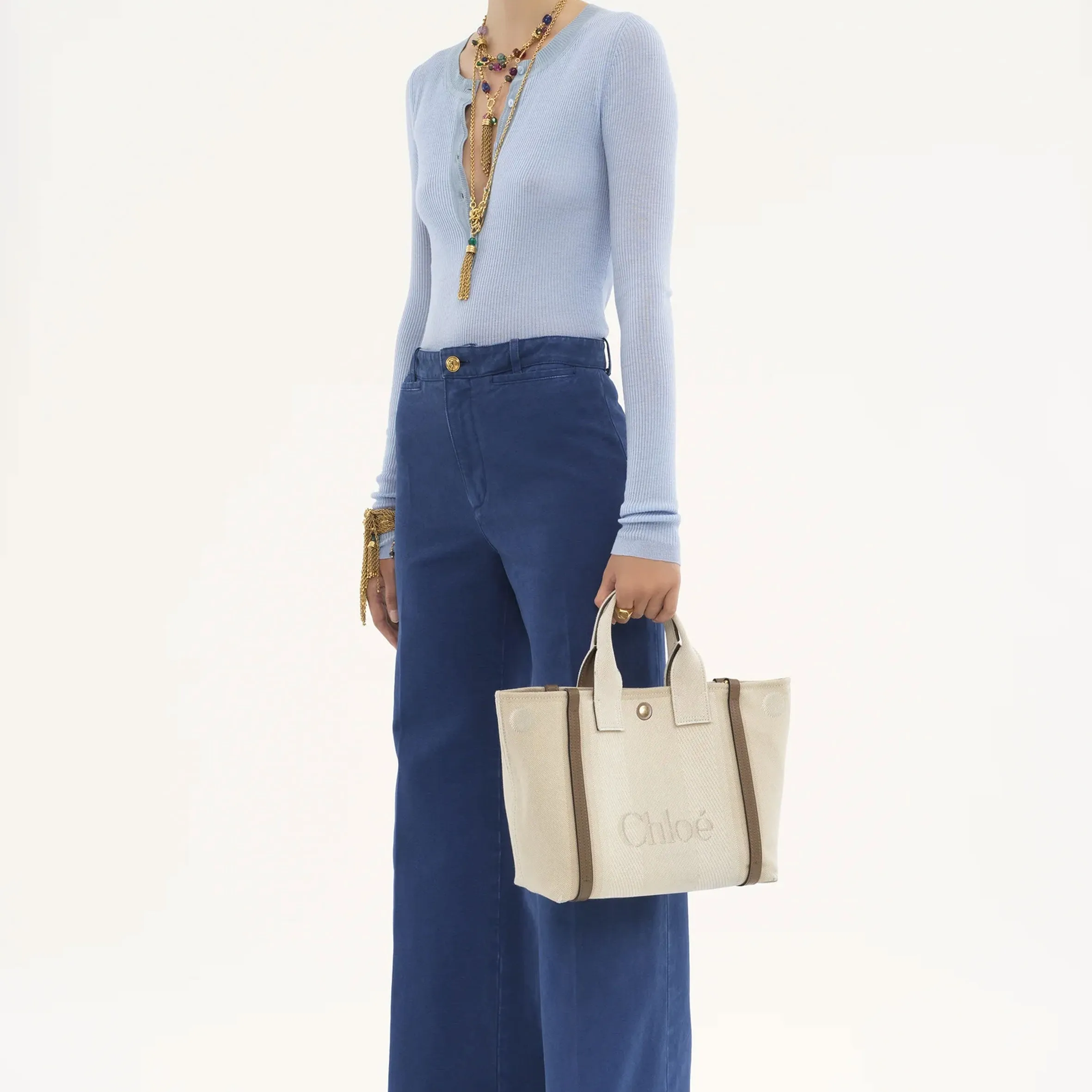 Chloé Bags Small Canvas Carry Tote, Vegetal Beige