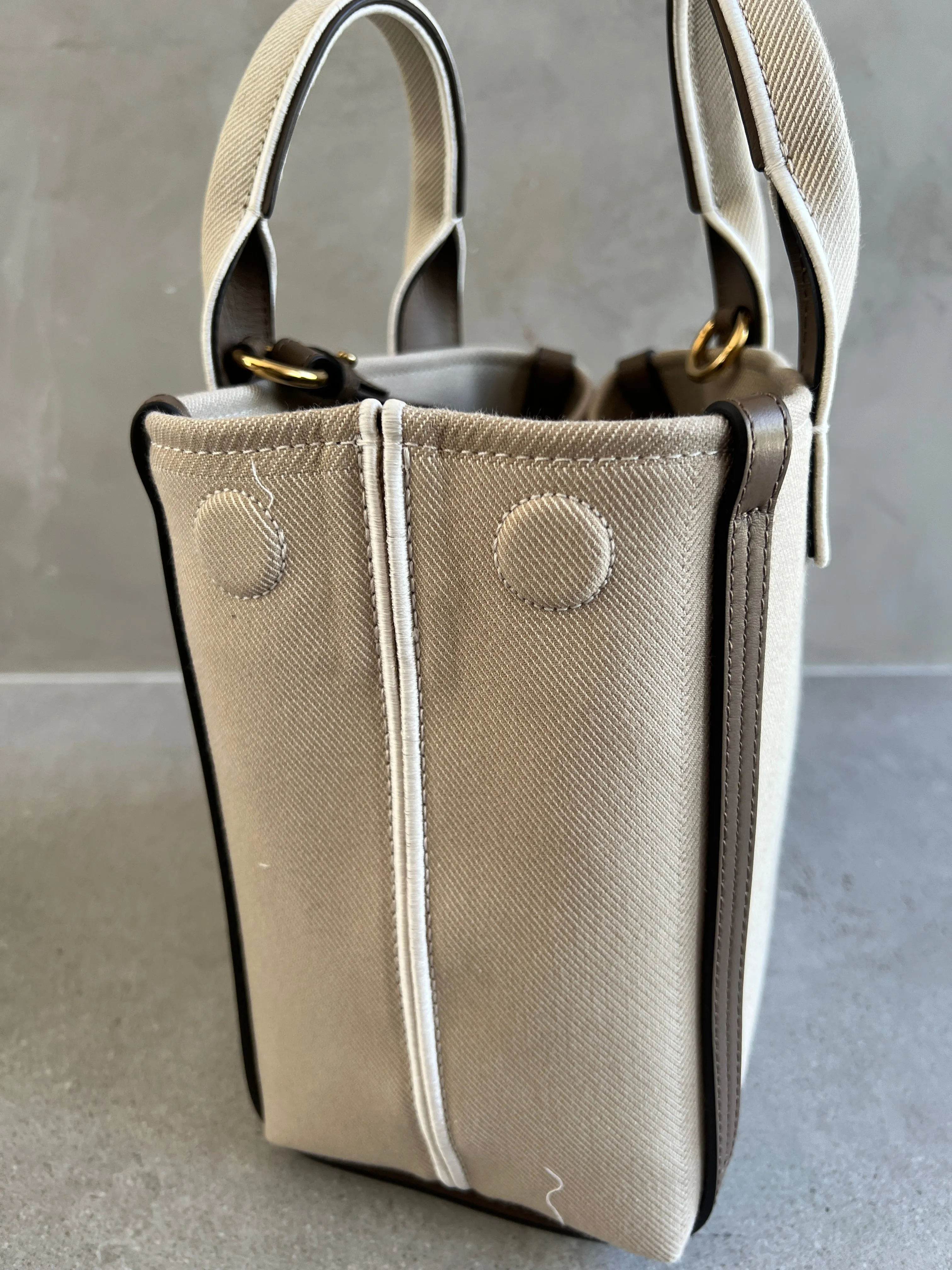 Chloé Bags Small Canvas Carry Tote, Vegetal Beige