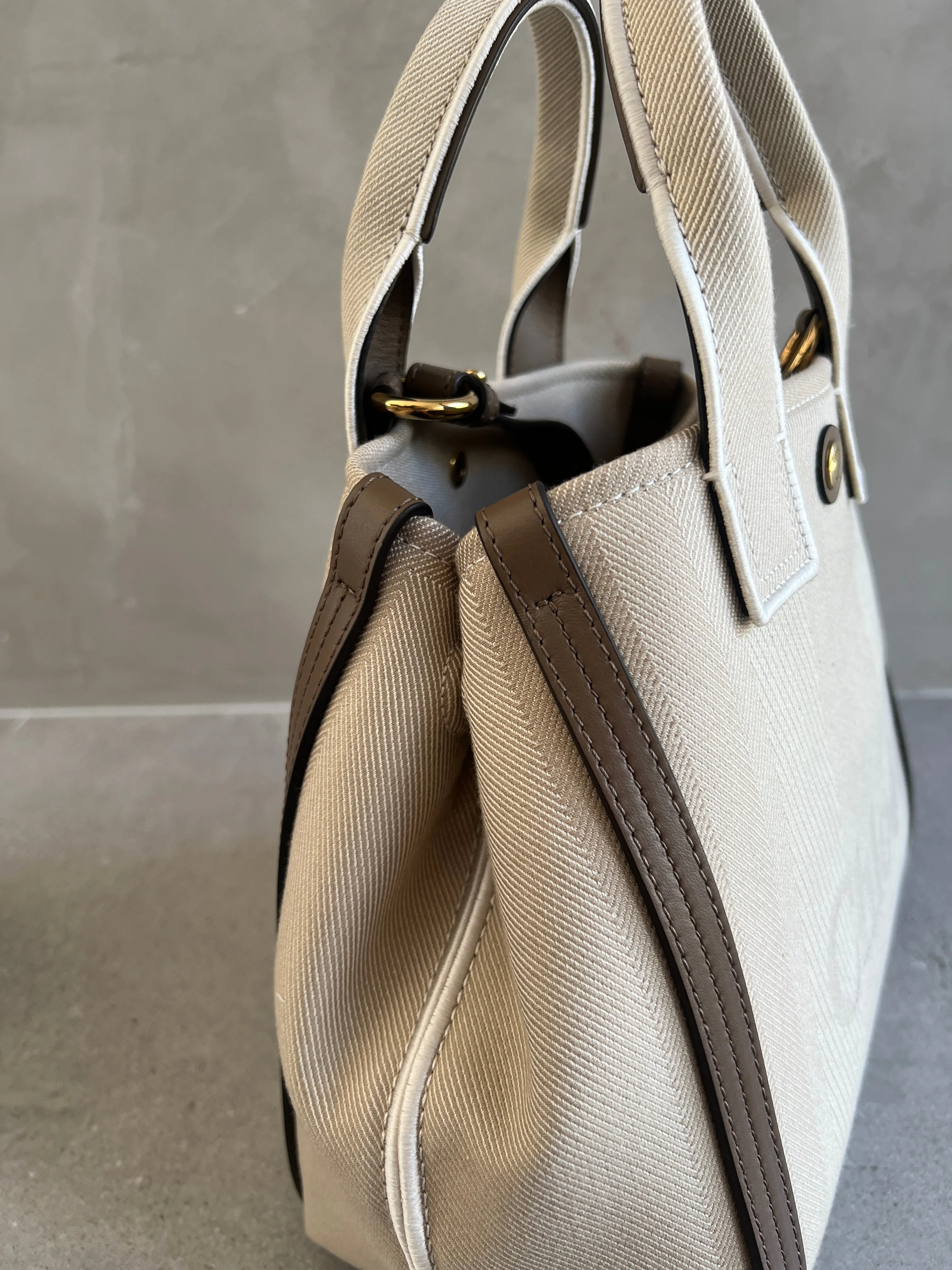 Chloé Bags Small Canvas Carry Tote, Vegetal Beige