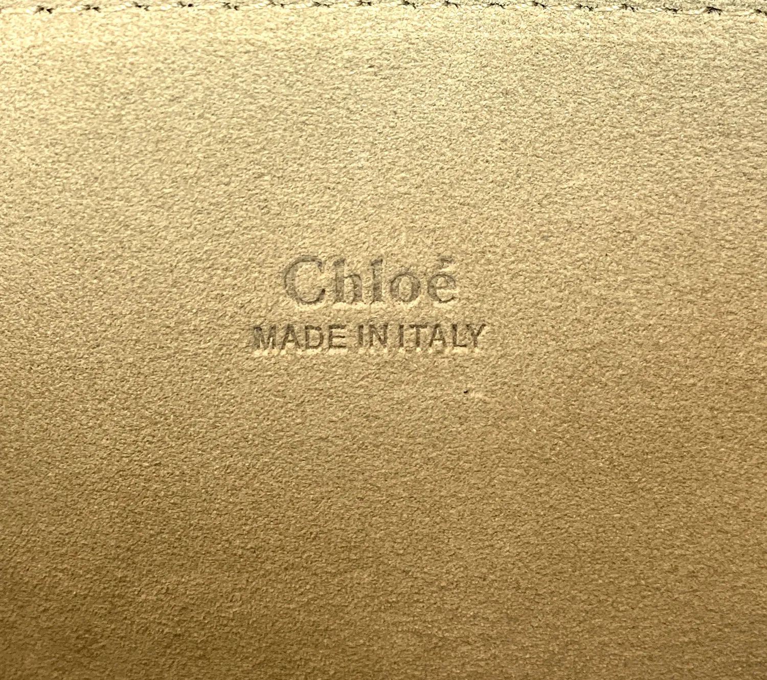 Faye Medium Leather and Suede Bag Bags_Chloé