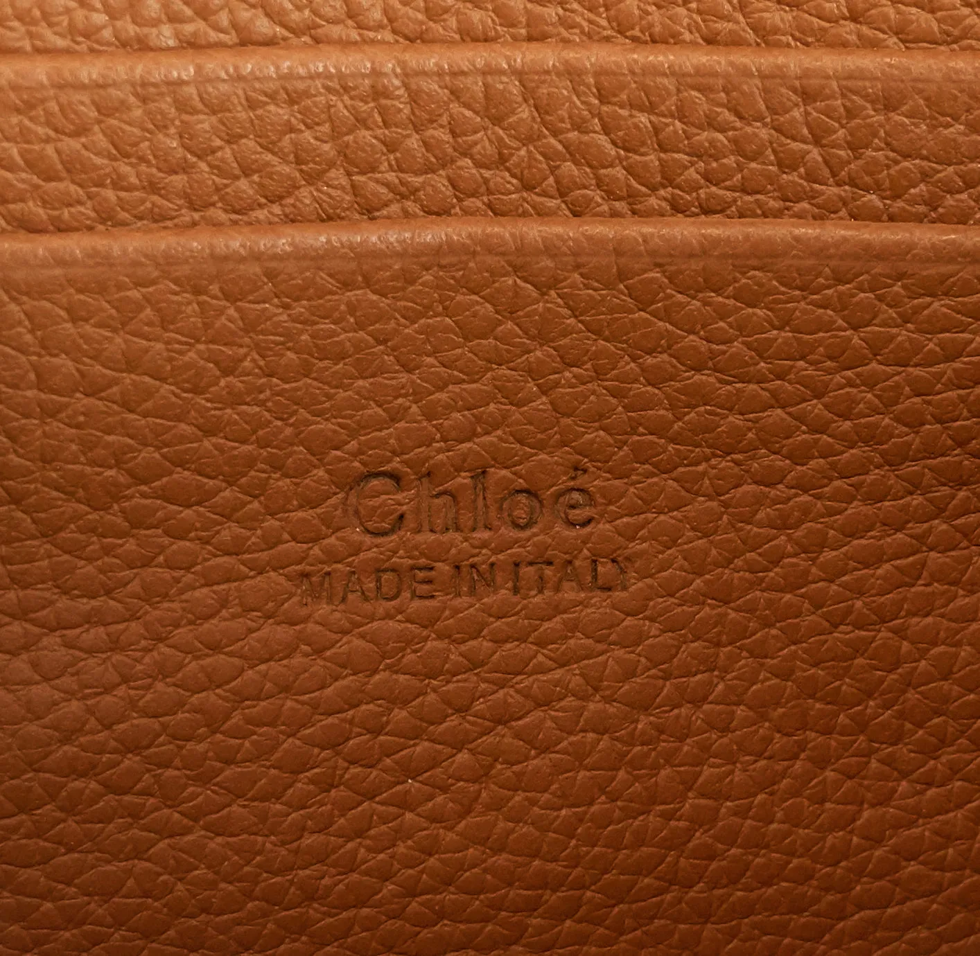 Faye Mini Leather Shoulder Bag Bags_Chloé