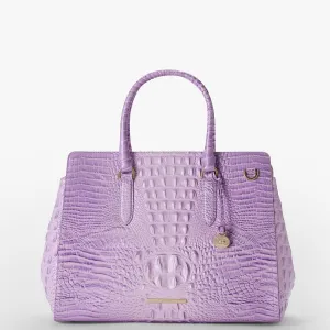 Finley Carryall Bags Brahmin Totes Carryalls