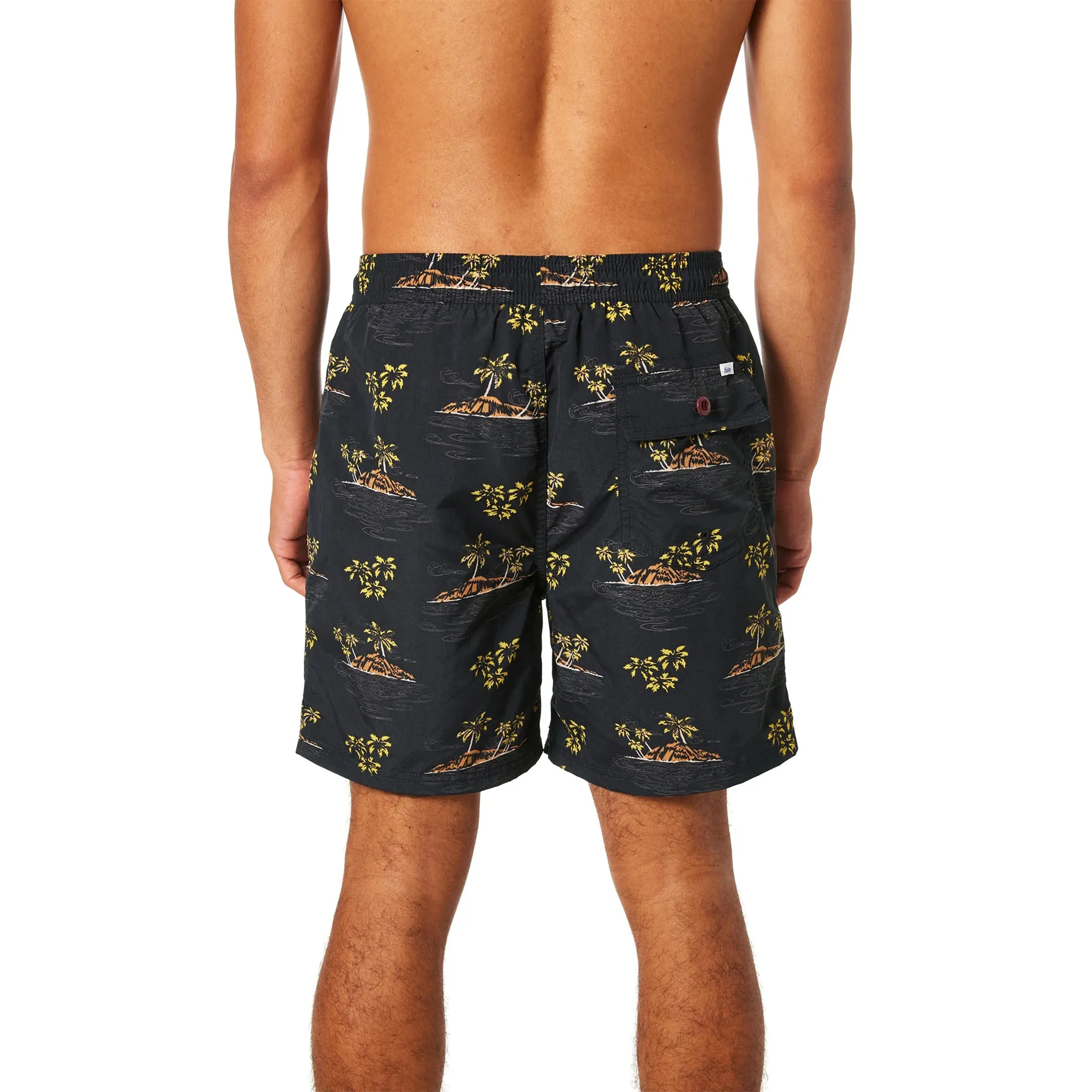 Hani Volley Trunk