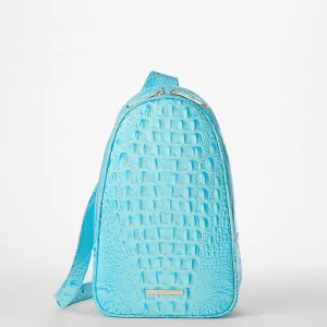 Jordan Bags Brahmin Backpacks