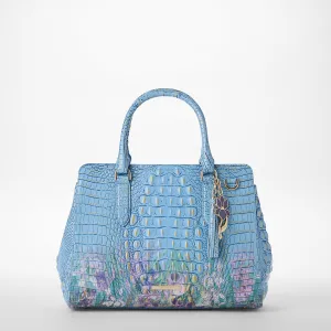 Small Finley Bags Brahmin Totes Carryalls