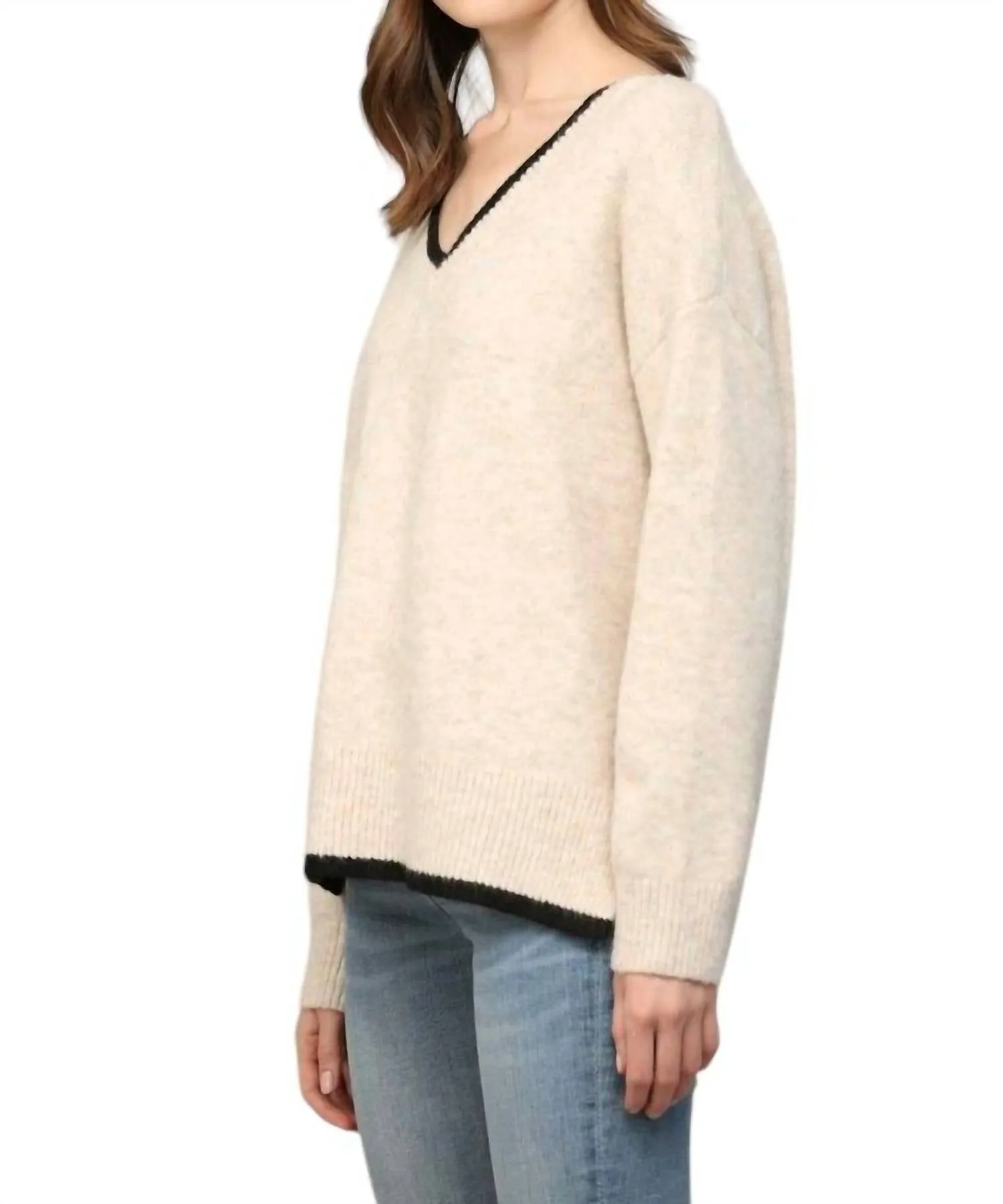 V-Neck Sweater In Oatmeal/black